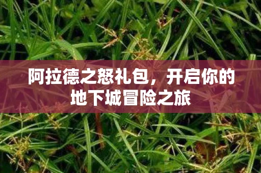 阿拉德之怒礼包，开启你的地下城冒险之旅