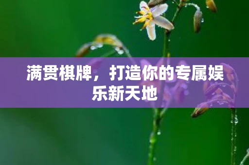 满贯棋牌，打造你的专属娱乐新天地