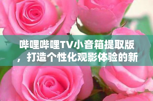 哔哩哔哩TV小音箱提取版，打造个性化观影体验的新利器