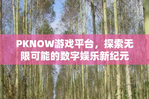 PKNOW游戏平台，探索无限可能的数字娱乐新纪元