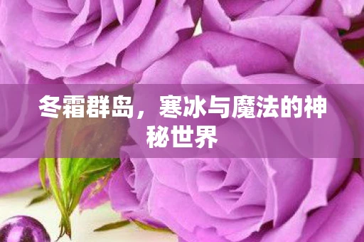 冬霜群岛，寒冰与魔法的神秘世界