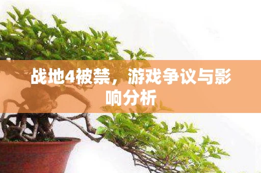 游戏争议与影响分析图片