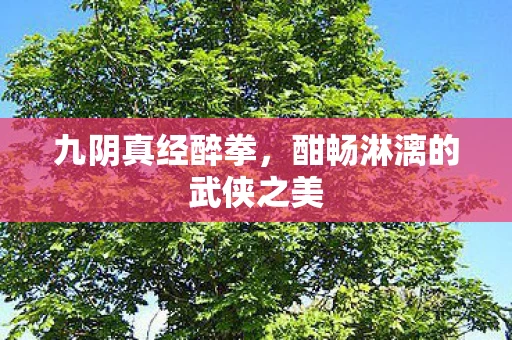 九阴真经醉拳，酣畅淋漓的武侠之美