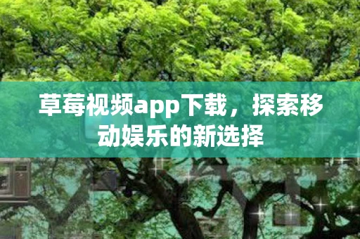 草莓视频app下载，探索移动娱乐的新选择