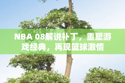 NBA 08解说补丁，重塑游戏经典，再现篮球激情