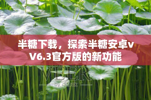 半糖下载，探索半糖安卓vV6.3官方版的新功能