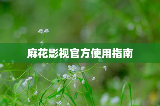 麻花影视官方使用指南