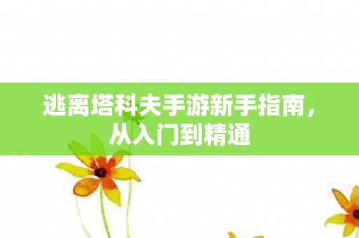 逃离塔科夫手游新手指南，从入门到精通