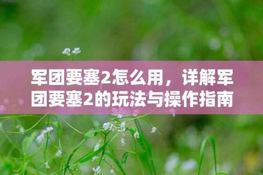 军团要塞2怎么用，详解军团要塞2的玩法与操作指南