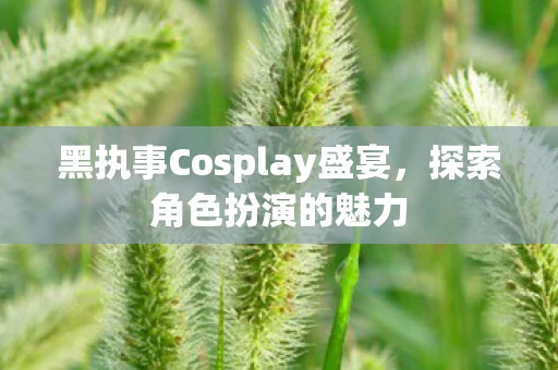 黑执事Cosplay盛宴，探索角色扮演的魅力