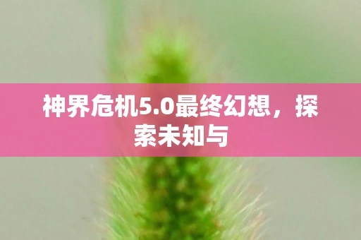 神界危机5.0最终幻想，探索未知与