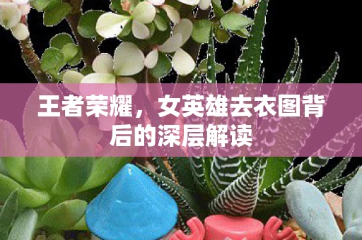 王者荣耀，女英雄去衣图背后的深层解读