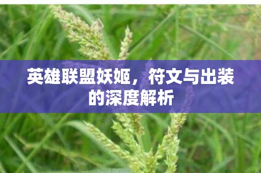 英雄联盟妖姬，符文与出装的深度解析