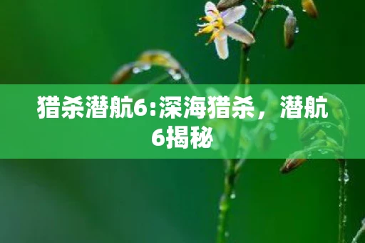 猎杀潜航6:深海猎杀，潜航6揭秘