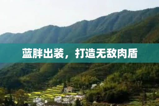 蓝胖出装，打造无敌肉盾