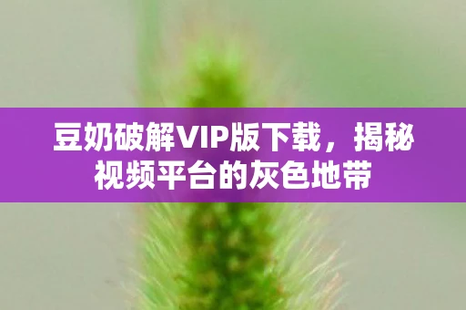 豆奶破解VIP版下载，揭秘视频平台的灰色地带