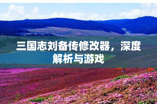 三国志刘备传修改器，深度解析与游戏