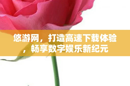 悠游网，打造高速下载体验，畅享数字娱乐新纪元