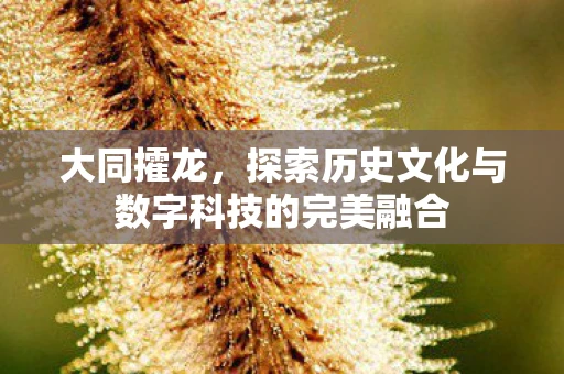 大同攉龙，探索历史文化与数字科技的完美融合