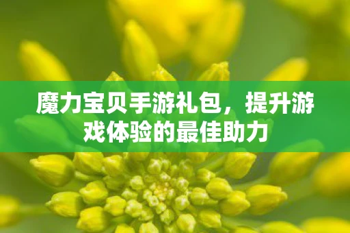 魔力宝贝手游礼包，提升游戏体验的最佳助力