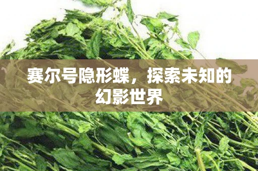 赛尔号隐形蝶，探索未知的幻影世界