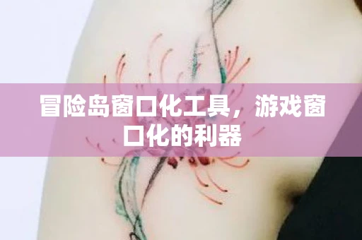 冒险岛窗口化工具，游戏窗口化的利器