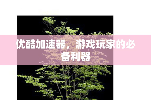 优酷加速器，游戏玩家的必备利器