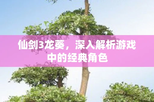 仙剑3龙葵，深入解析游戏中的经典角色