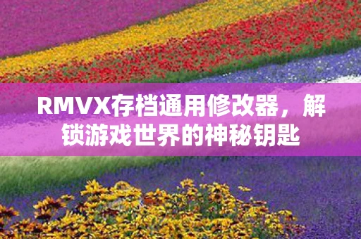 RMVX存档通用修改器，解锁游戏世界的神秘钥匙