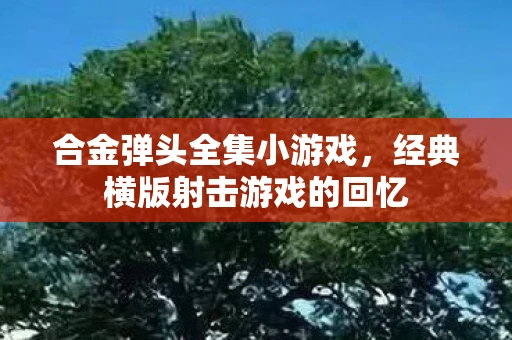 合金弹头全集小游戏，经典横版射击游戏的回忆