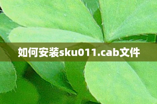 如何安装sku011.cab文件