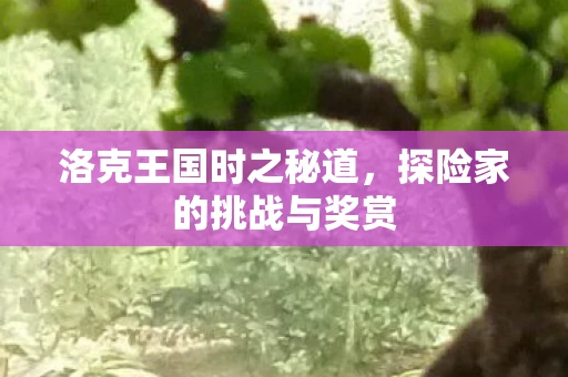 洛克王国时之秘道，探险家的挑战与奖赏