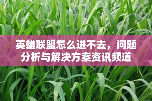 英雄联盟怎么进不去，问题分析与解决方案资讯频道