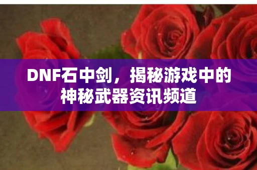 DNF石中剑，揭秘游戏中的神秘武器资讯频道