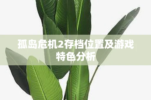 孤岛危机2存档位置及游戏特色分析