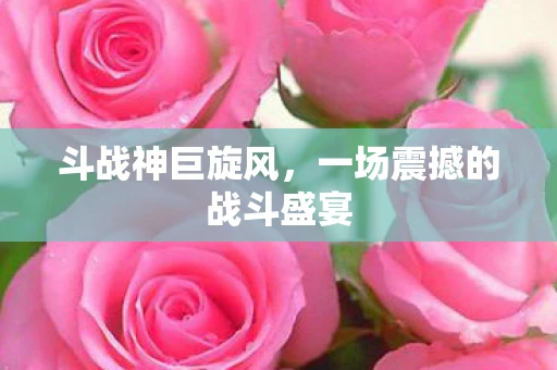 斗战神巨旋风，一场震撼的战斗盛宴