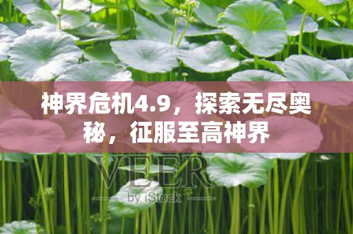 神界危机4.9，探索无尽奥秘，征服至高神界