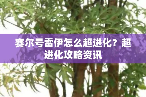 赛尔号雷伊怎么超进化？超进化攻略资讯