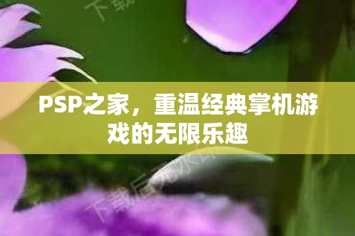PSP之家，重温经典掌机游戏的无限乐趣