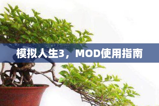 模拟人生3，MOD使用指南