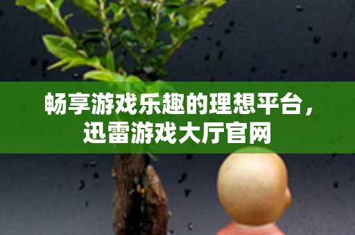 畅享游戏乐趣的理想平台，迅雷游戏大厅官网