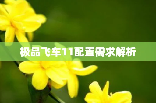 极品飞车11配置需求解析