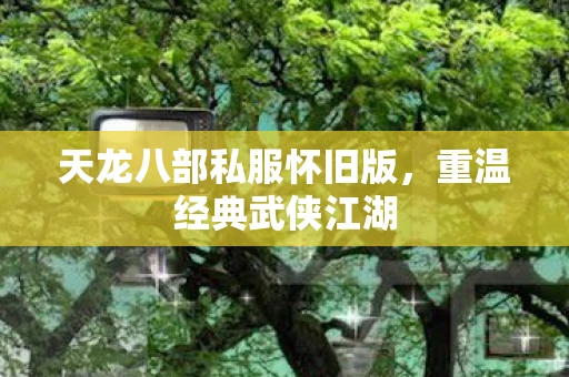 天龙八部私服怀旧版，重温经典武侠江湖