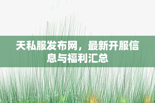 天私服发布网，最新开服信息与福利汇总