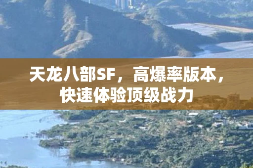 天龙八部SF，高爆率版本，快速体验顶级战力