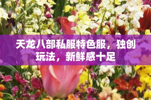 天龙八部私服特色服，独创玩法，新鲜感十足
