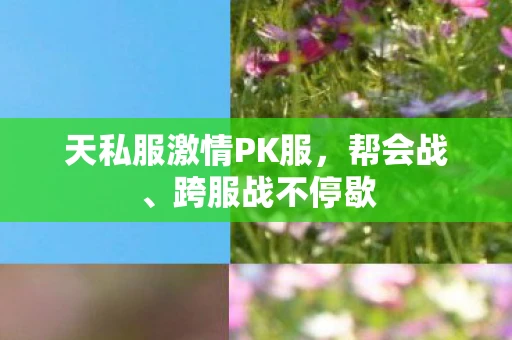 天私服激情PK服，帮会战、跨服战不停歇