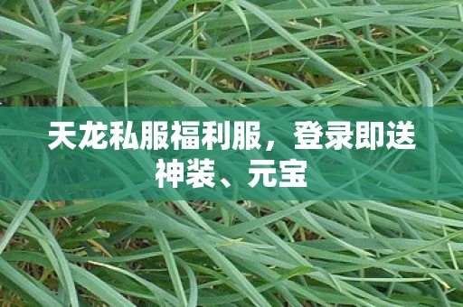 天龙私服福利服，登录即送神装、元宝
