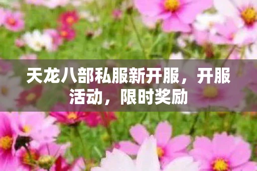 天龙八部私服新开服，开服活动，限时奖励