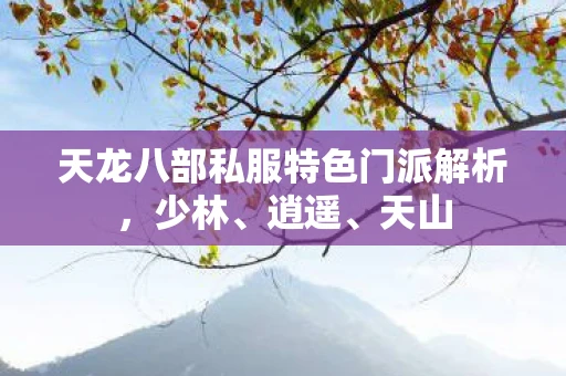 天龙八部私服特色门派解析，少林、逍遥、天山